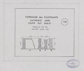 Ter. des Eléphants - extrémité N (Coupe).