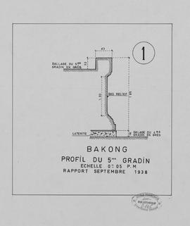 Bakong - 1e enc., pyramide, 5e gradin (Coupe).